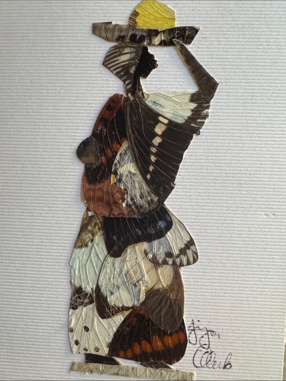 Butterfly wing collage from Botswana